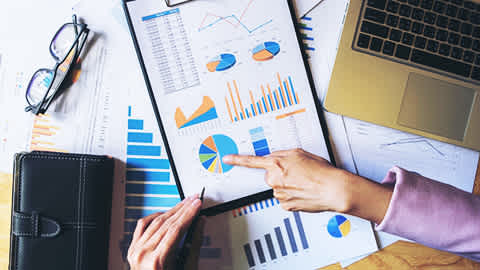 Data Scientist