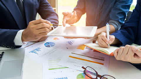 Business Analyst